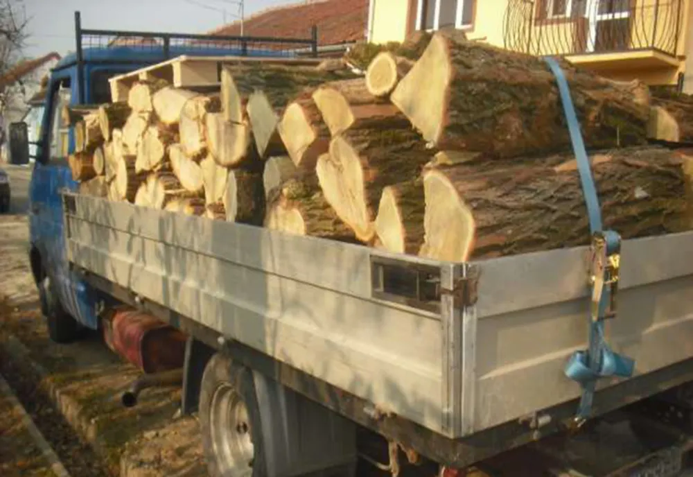 Controale de amploare pe transporturile de marfă din vestul țării: 114 amenzi și confiscare de material lemnos