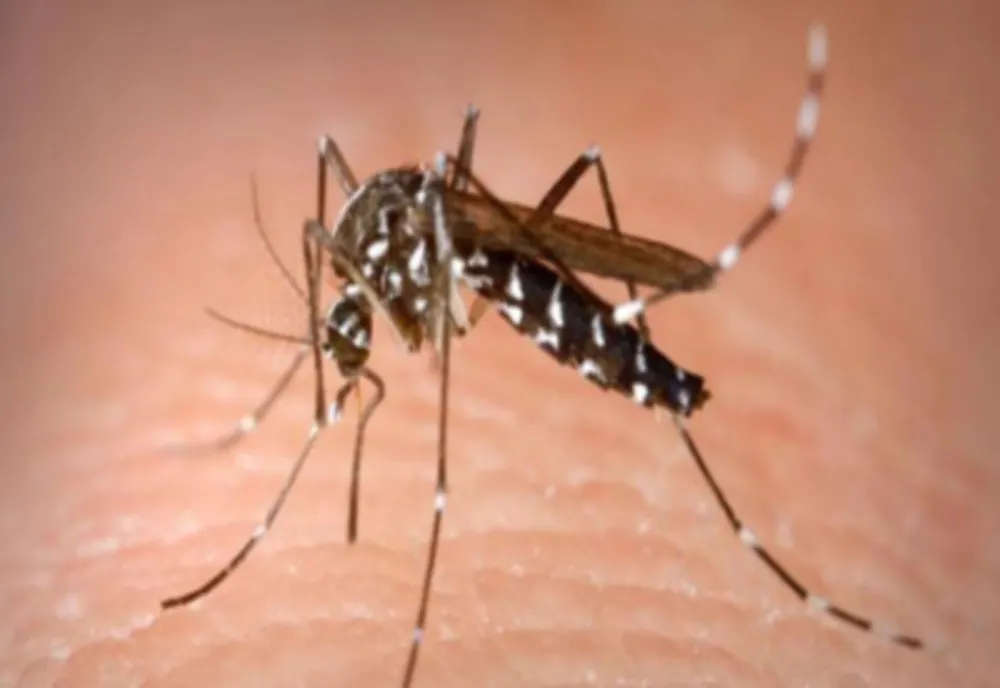 INSP: 78 de cazuri confirmate și 16 probabile de infecție cu virusul West Nile