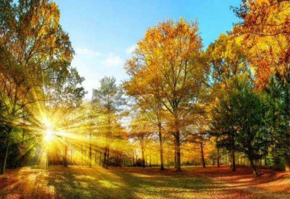 Prognoza meteo, 26 mai: soare, până la 31°C și vânt mai puternic în unele regiuni