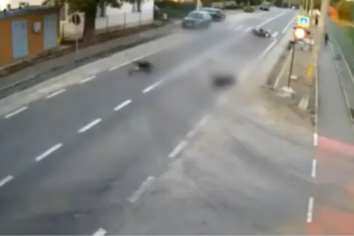 O fetiță de 4 ani a murit după ce scuterul pe care se afla cu mama sa a intrat pe contrasens