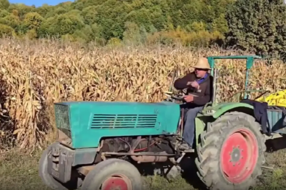 Bani pentru fermierii afectați de secetă! Cine poate primi ajutorul și când se depun cererile