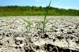 Seceta lovește România! RESTRICȚII la consumul de apă în 141 de localități din mai multe județe