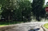 Ploile și vijeliile revin în România. Șefa ANM: ”Nu sunt suficiente pentru a combate seceta și pentru a îmbunătăți situația Dunării”