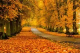 Vremea în România, sâmbătă: soare și temperaturi de până la 29 de grade