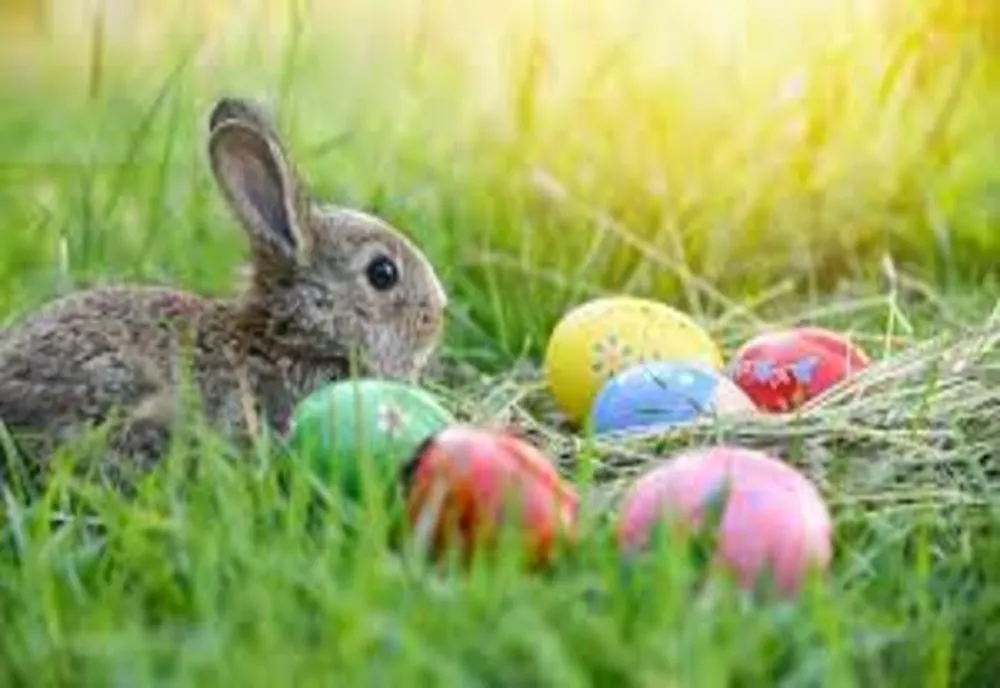ANPC, anunț pentru români, în prag de Paște