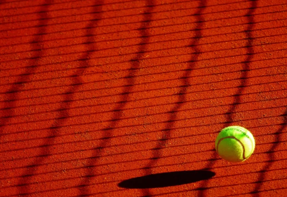 Ana Bogdan, eliminată în primul tur la Roland Garros