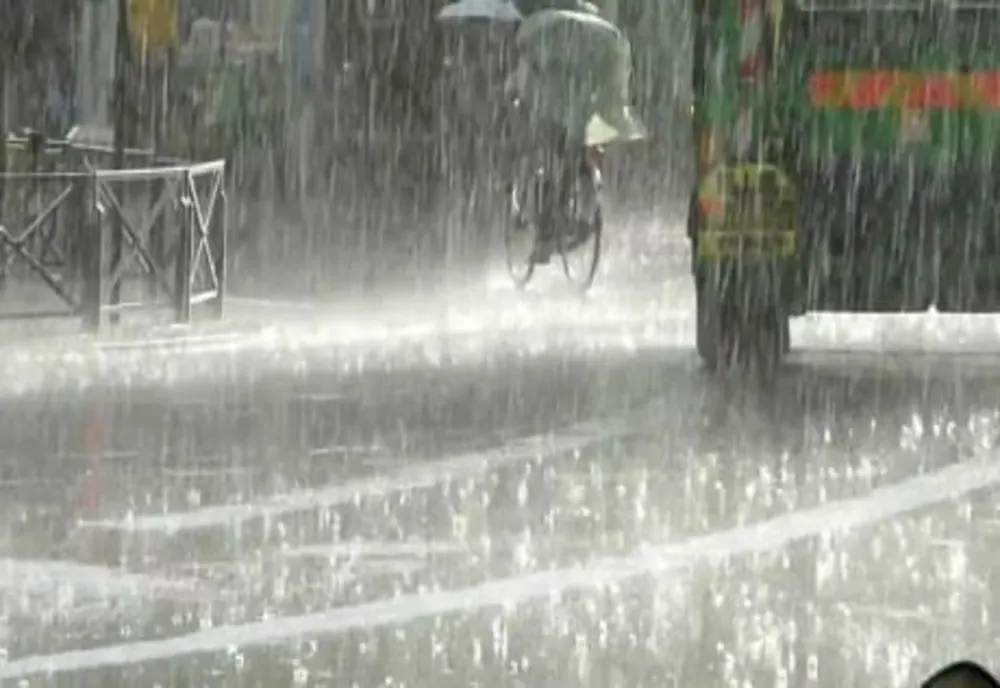 COD GALBEN DE VIJELII ÎN BUCUREȘTI ȘI JUDEȚELE LIMITROFE