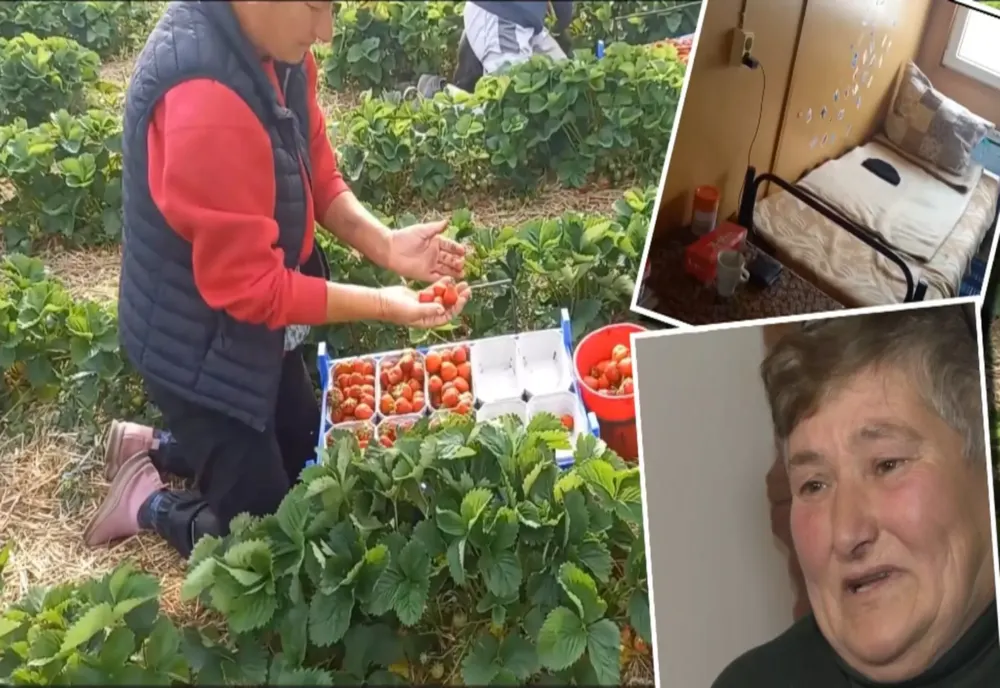 Drama românilor plecați la muncă peste hotare, mărturii sfâșietoare. Cum i-au amăgit politicienii sistemului ani la rând -VIDEO
