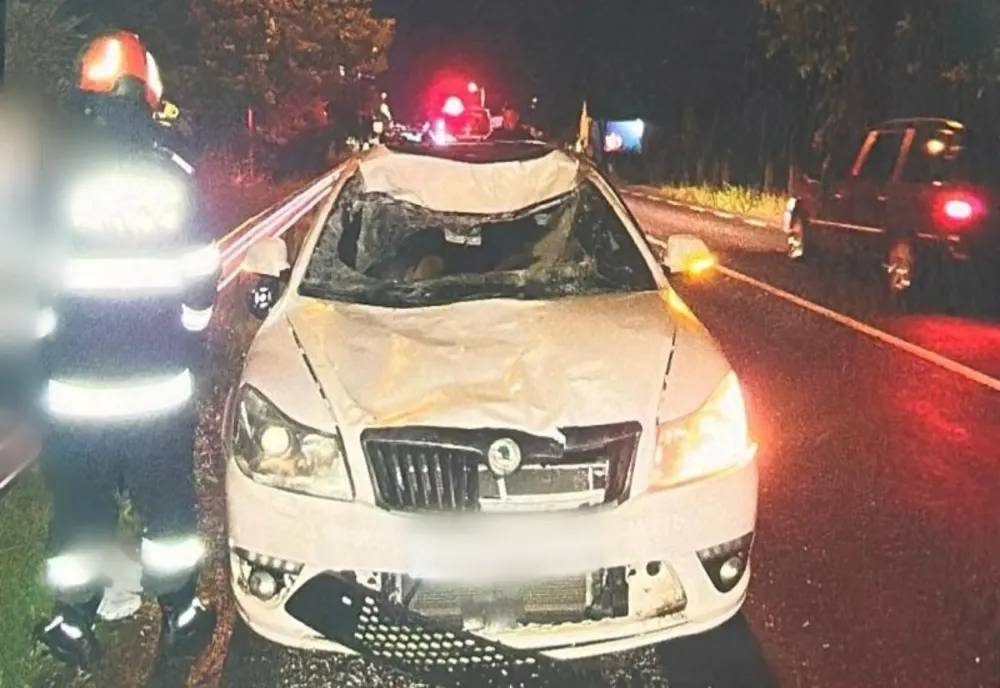 Accident rutier în Cluj: un cal a murit, o femeie a ajuns la spital