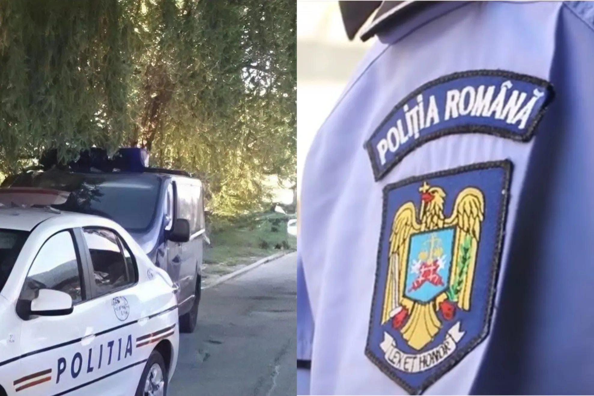 Un adolescent de 17 ani a amenințat-o pe fosta iubită și pe mama ei că le omoară
