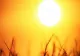 Cod portocaliu de căldură - Se vor atinge 41 de grade Celsius - Harta cu zonele unde lovește valul de căldură