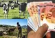 Sprijin financiar în valoare de peste 15,82 milioane lei pentru crescătorii de animale