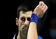 Novak Djokovic, accidentat, s-a retras de la Roland Garros