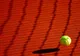 Miyu Kato şi Tim Puetz au câştigat trofeul la dublu mixt, la Roland-Garros. Învinşii din finală sunt Andreescu şi Venus