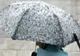 PROGNOZA METEO: TEMPERATURI SCĂZUTE ȘI NINSORI ÎN ÎNTREAGA ȚARĂ ÎN URMĂTOAREA SĂPTĂMÂNĂ