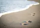 E.coli în Marea Neagră. Avertismentul unui medic pentru toți turiștii care merg pe litoral: există un pericol MAI MARE decât această bacterie