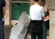 VIDEO - Om al străzii mort în Piața Sfatului. Cadavrul a stat ore întregi, la soare, printre turiști și terase