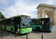SURSE: STB AR URMA SĂ INTRE ÎN FALIMENT! TRANSPORTUL DIN CAPITALĂ, ÎN SITUAȚIE CRITICĂ: A FOST ÎNGROPAT ÎN DATORII DE NICUȘOR DAN