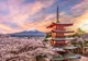 ACORD SUA - JAPONIA PENTRU PĂMÂNTURI RARE