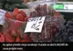 Au apărut primele cireșe românești. Fructele se vând la BUCATĂ din cauza prețului mare