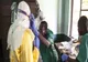  Ebola a ucis peste 1.000 de oameni în Republica Democratică Congo și Uganda, anunță OMS